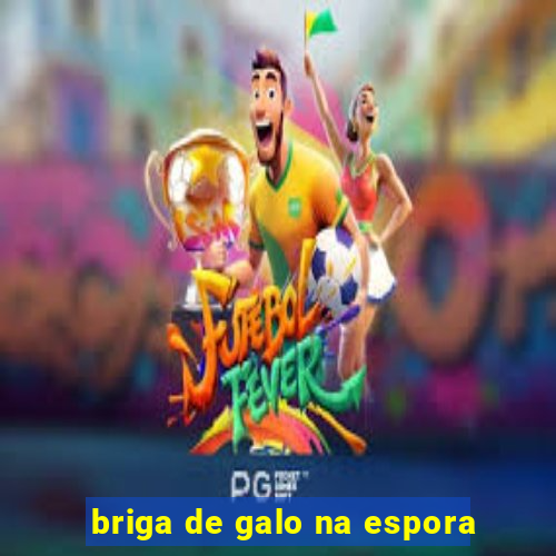 briga de galo na espora